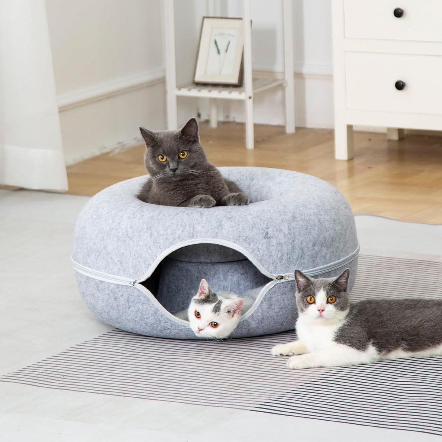 Cama túnel para mascotas