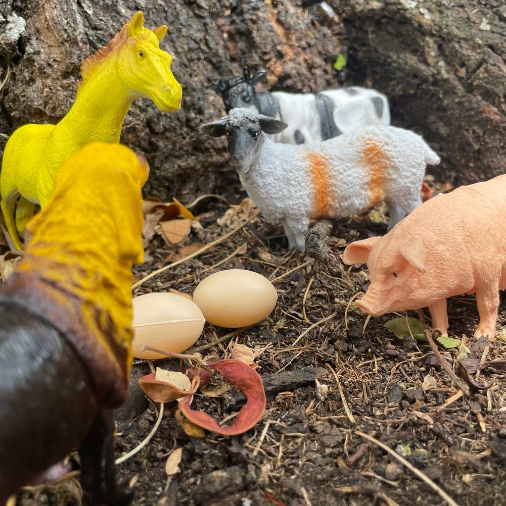 Set De Grana x6 Animales