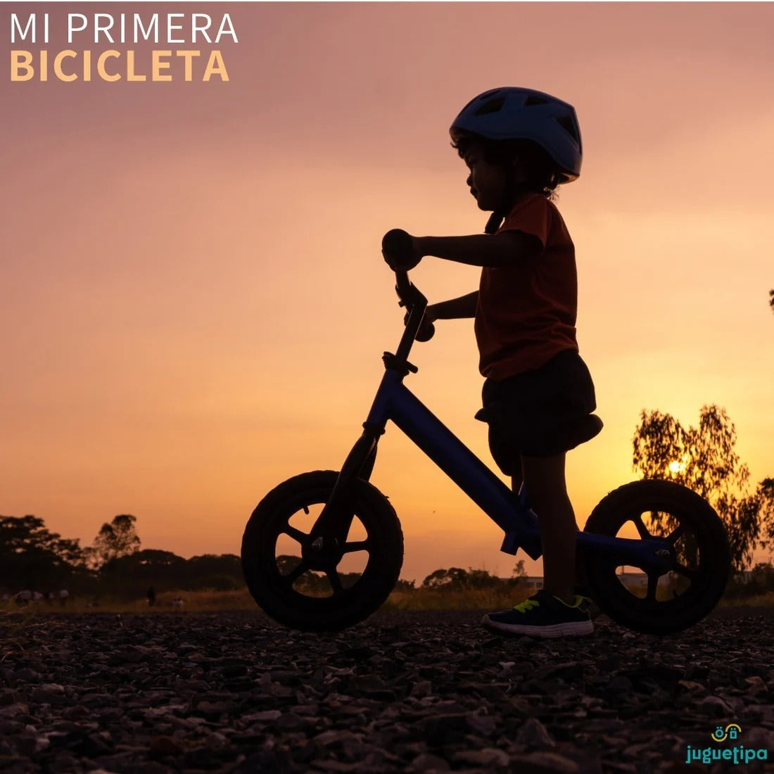 Bicicleta De Equilibrio Para Niños Sin Pedales + Envío Gratis