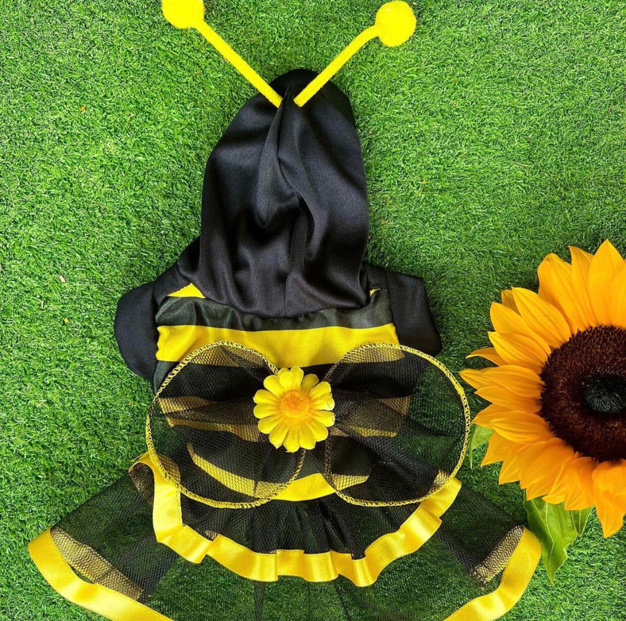 Disfraces para mascotas