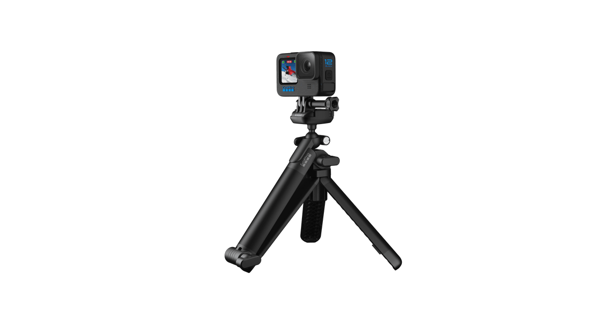 GoPro 3-Way 2.0