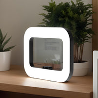 Panel De Luz LED Portatil Recargable