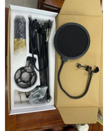 Micrófono Condensador Andowl BM800 Omnidireccional con Brazo y Filtro