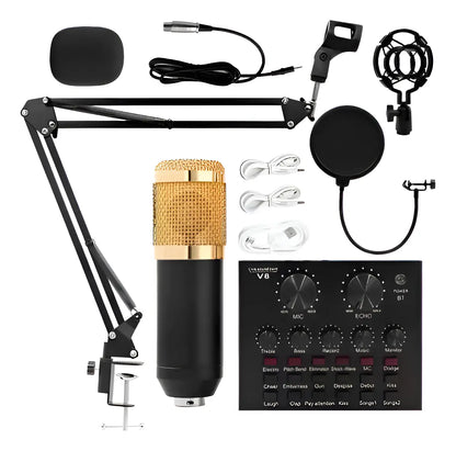 Micrófono Condensador Andowl BM800 Omnidireccional con Brazo y Filtro