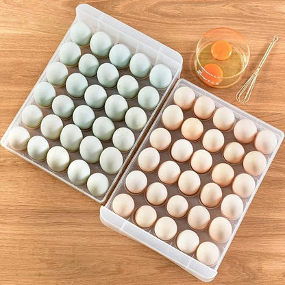 Organizador De Huevos De 2 Niveles X 60 puestos + envío gratis