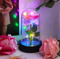 Cápsula De Flor Con Luz LED