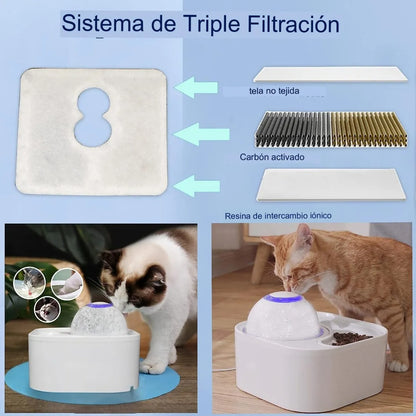 Fuente 2 en 1 Para Mascotas