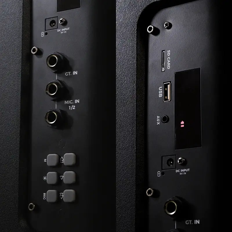 Parlante PS2 PRO+ con micrófono inalámbrico