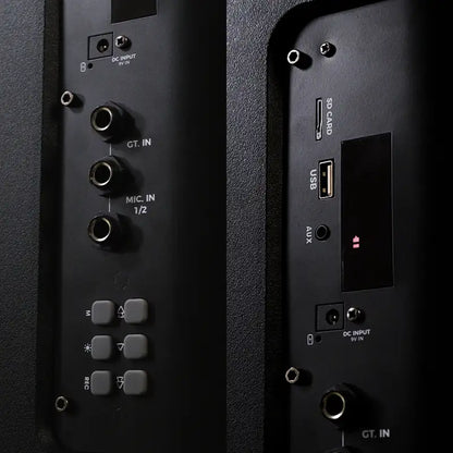 Parlante PS2 PRO+ con micrófono inalámbrico
