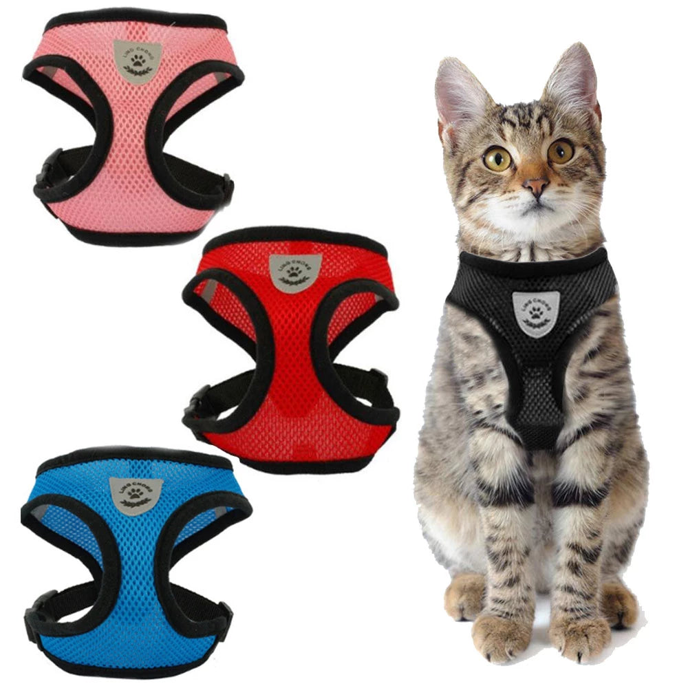 Arnes Chaleco Transpirable Para Gatos