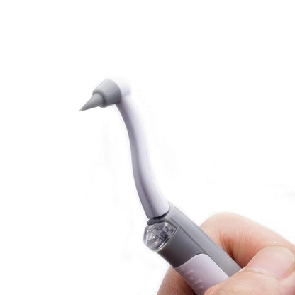 Removedor Electrico De Placa Dental + Envío Gratis 