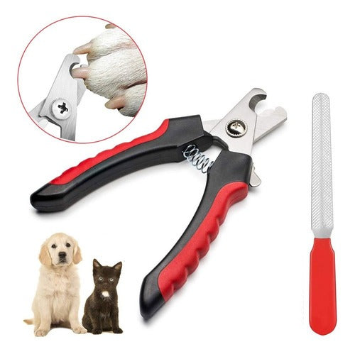 Kit Limador Y Uñas Cortas Para Mascotas
